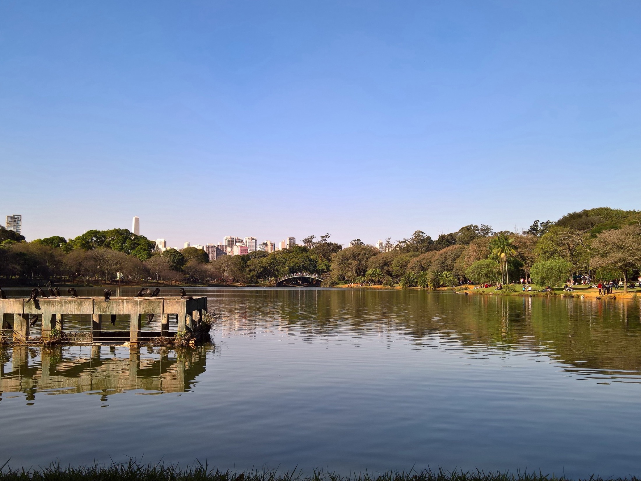 Avion à l'aéroport de São Paulo
